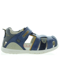 Komar Blue