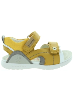 Mars Yellow