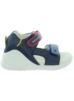 Amer Navy