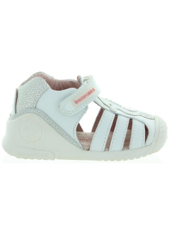 Seahorse White