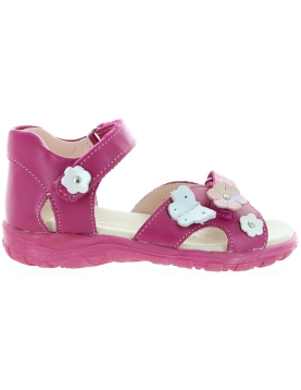 Maslo Pink