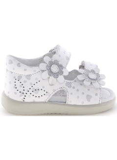 Gebra White/Print