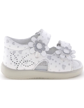 Gebra White/Print