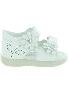 Gebra White