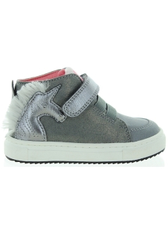 Konik Gray