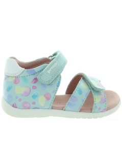 Arnika Blue