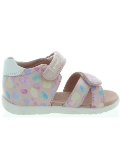 Arnika Pink