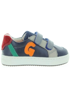 Ogorek Blue