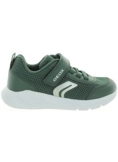 Sprinter Green
