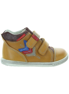 Boston Brown