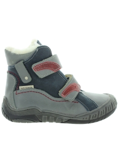 Muhomor Gray