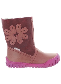 Asteria Rose