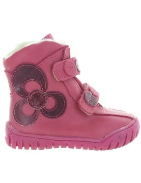 Cytryna Fuschia