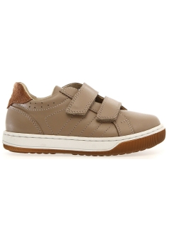 Ster Beige