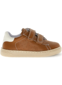 Japon Brown