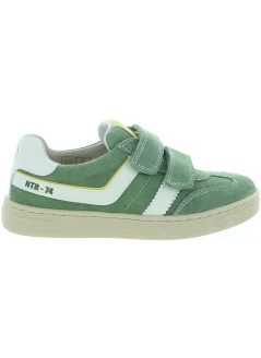 Lutnik Green
