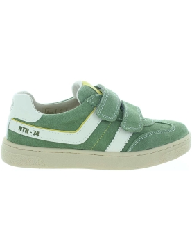 Lutnik Green