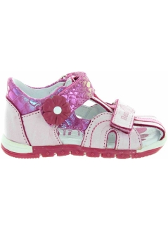 Aora Pink 