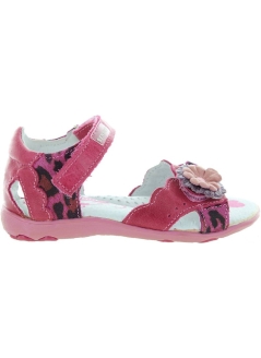 Maradona Fuchsia