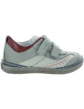 Pingwin Gray